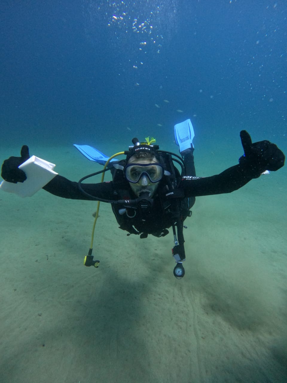 Boy snorkels next to a ship wreck submerged in the ocean